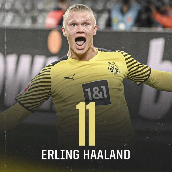 在训练中加 在训练中加